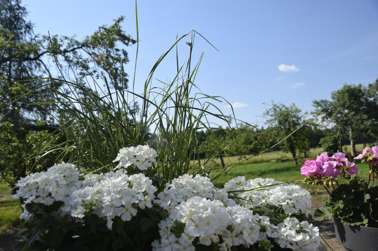 Nowa Kamienica 11 Villa Stara Kamienica Bagian luar foto