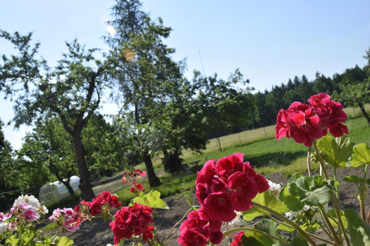 Nowa Kamienica 11 Villa Stara Kamienica Bagian luar foto