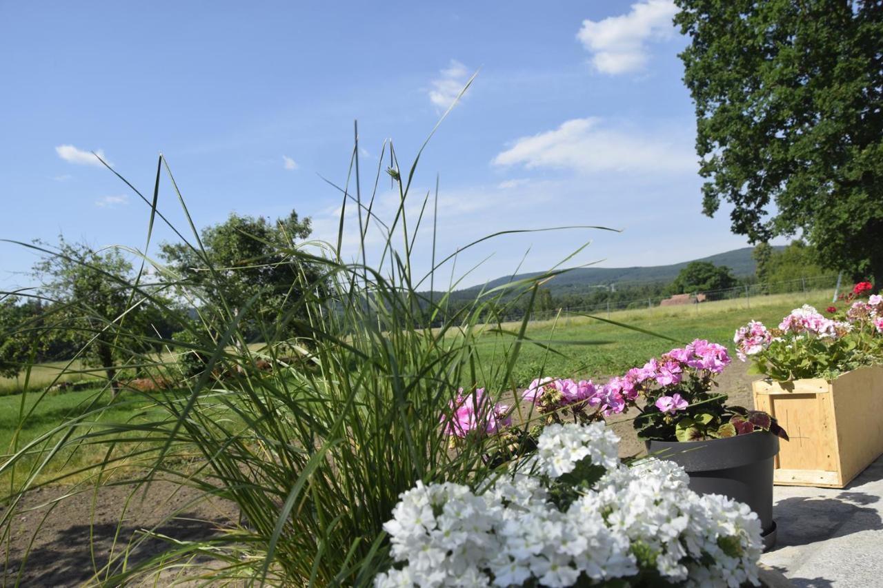 Nowa Kamienica 11 Villa Stara Kamienica Bagian luar foto