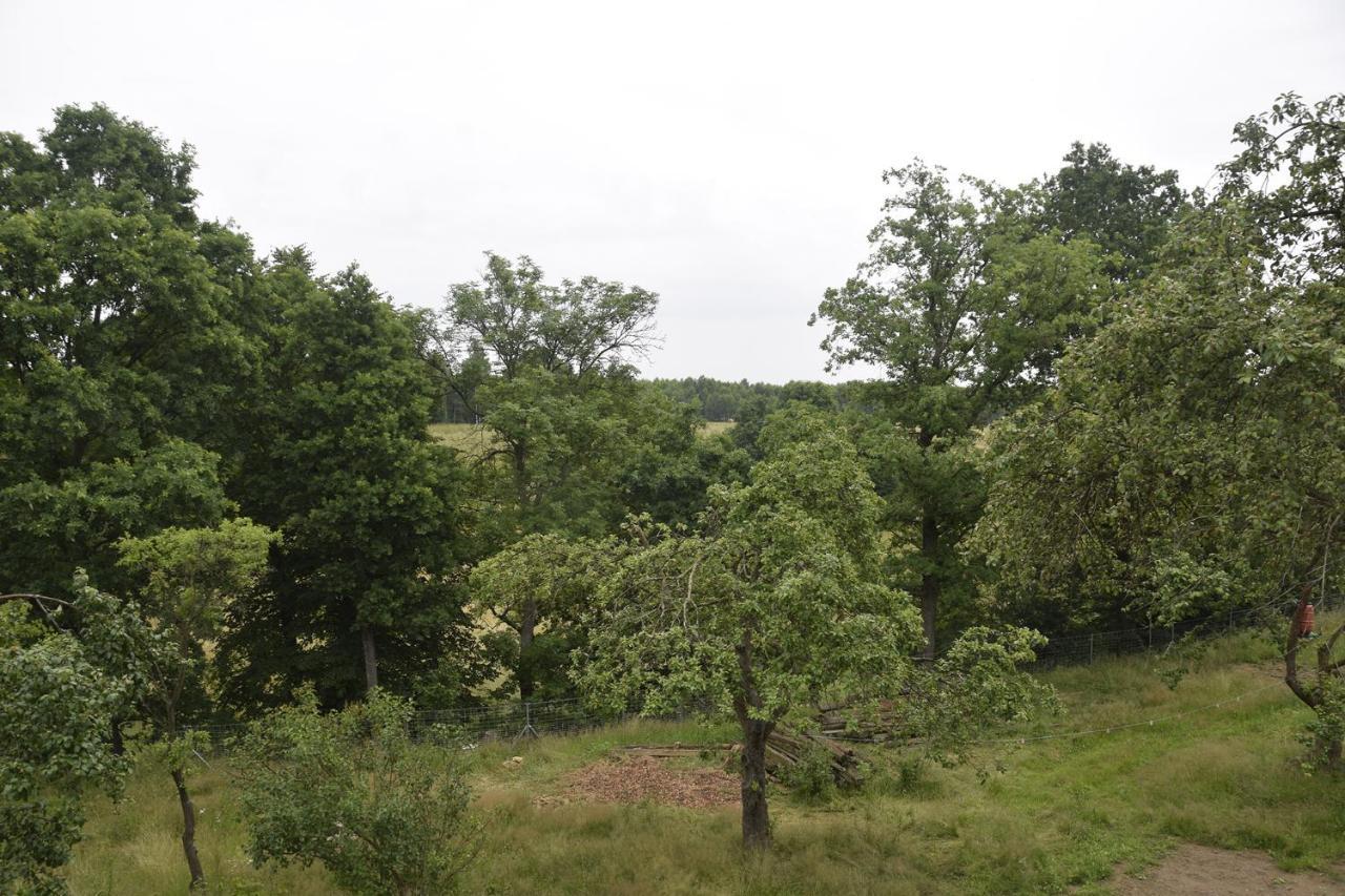 Nowa Kamienica 11 Villa Stara Kamienica Bagian luar foto