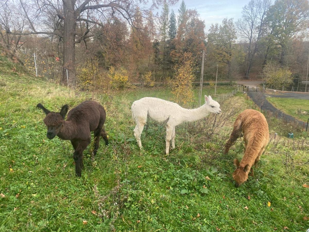 Nowa Kamienica 11 Villa Stara Kamienica Bagian luar foto